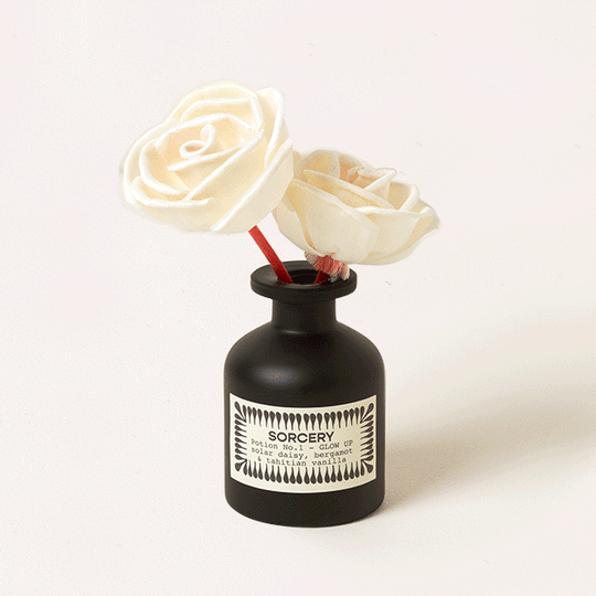 Sorcery Glow Up Potion #1 Reed Diffuser