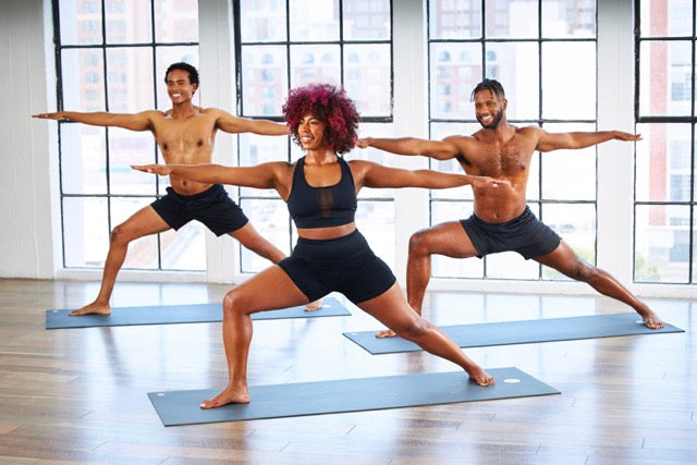 Power Teacher Training: 200 Hour (Santa Monica, CA)