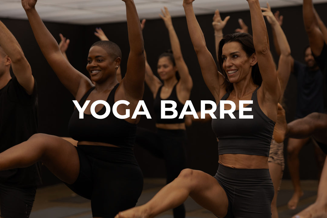 Yoga Barre Teacher Training (Culver City, CA)