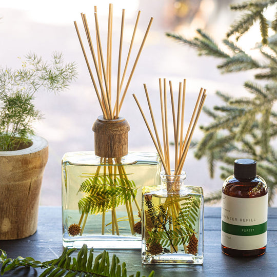 Signature Botanical Reed Diffuser - Forest