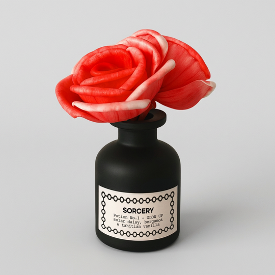 Sorcery Glow Up Potion #1 Reed Diffuser