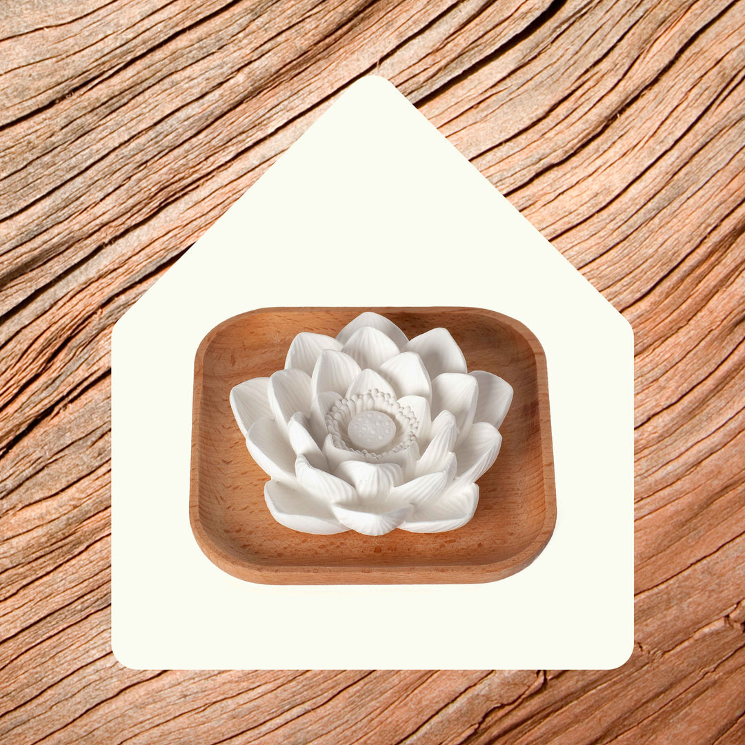 Passive Lotus Diffuser