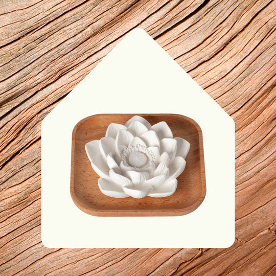 Passive Lotus Diffuser