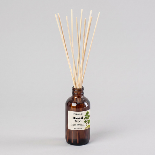 Osmology Bonsai Tree Amber Diffuser