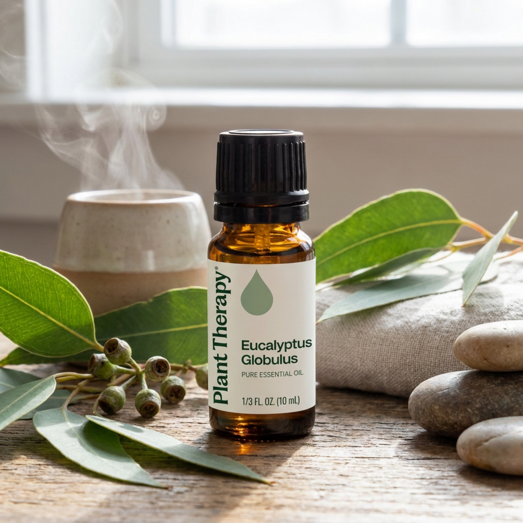 Plant Therapy Eucalyptus Globulus Essential Oil