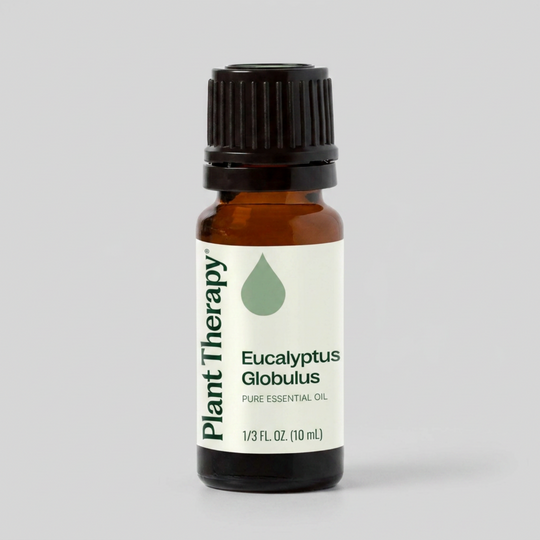 Plant Therapy Eucalyptus Globulus Essential Oil