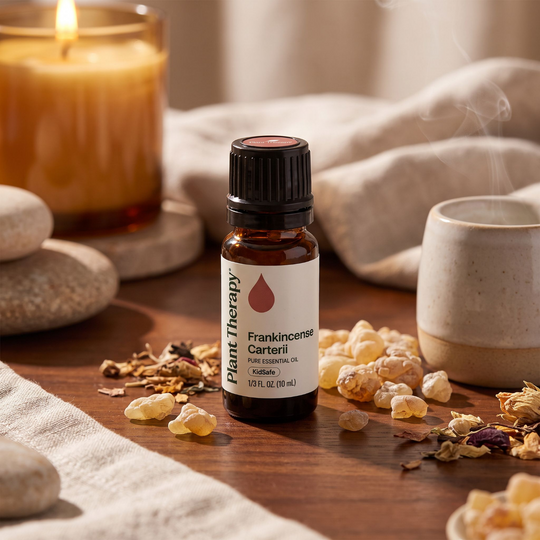 Plant Therapy Frankincense Carterii Essential Oil