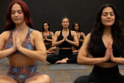 300 Hour Advanced Yogic Studies Module 3 - Flatiron