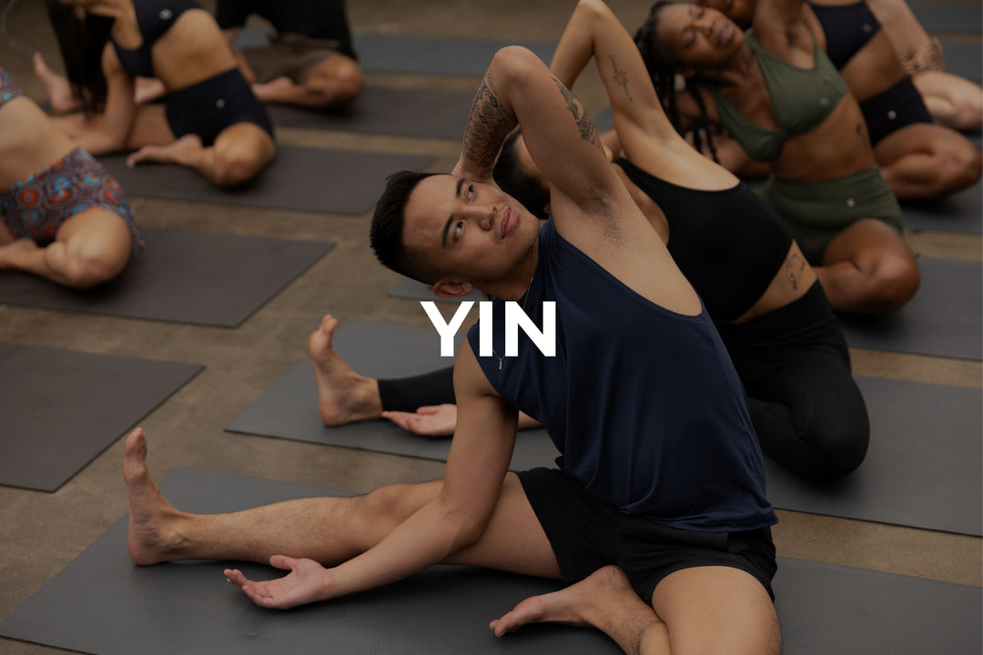 Yin Teacher Training (South Bay, CA)