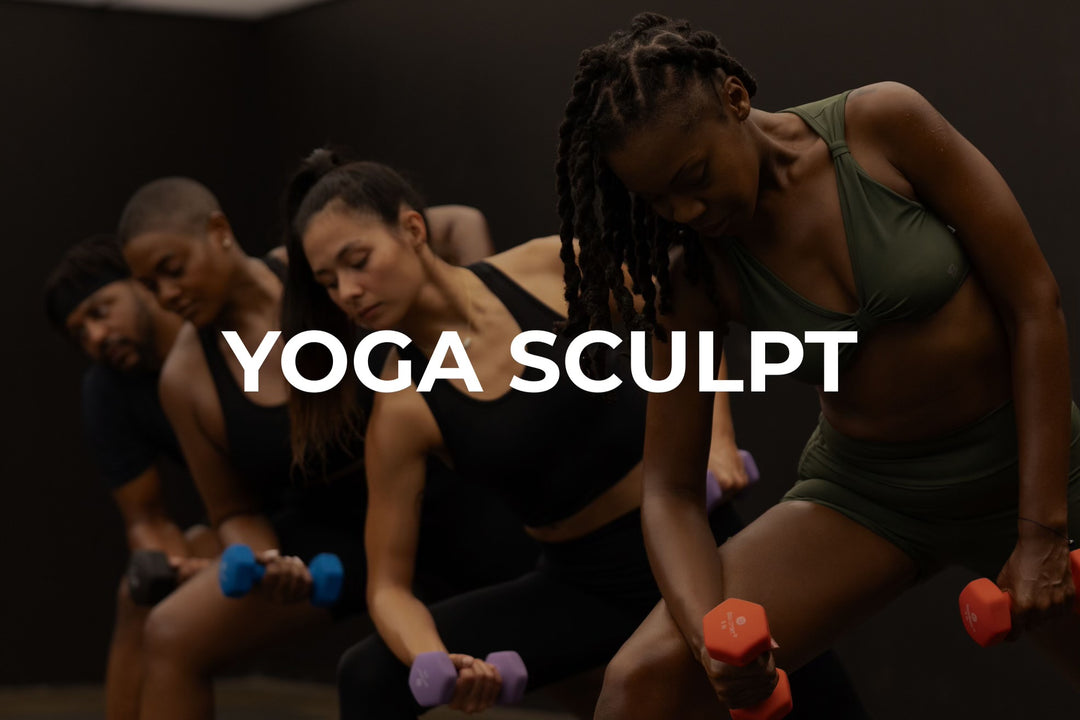 Yoga Sculpt Teacher Training (60 Hours) Tribeca, NYC