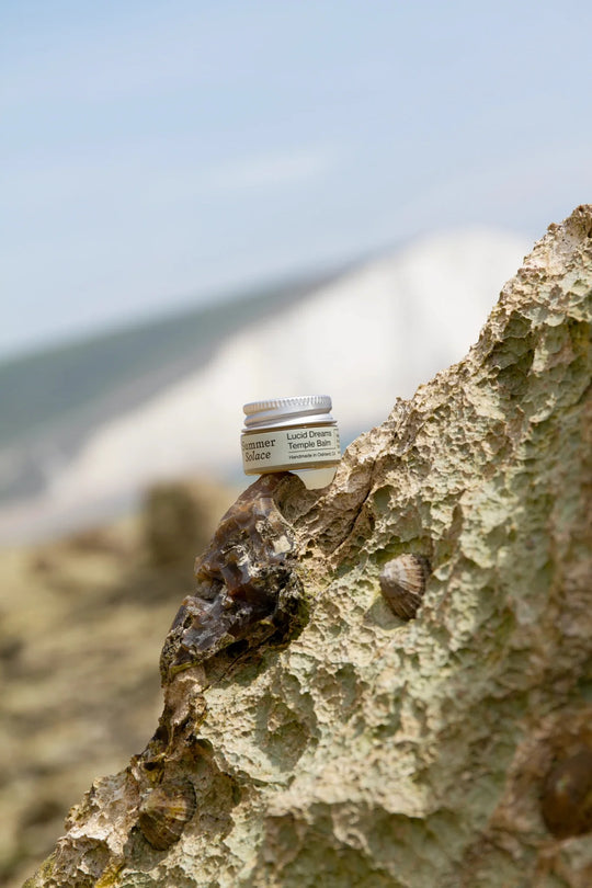 Lucid Dreams & Meditation Balm - Mugwort, White Lotus, Piñon Pine