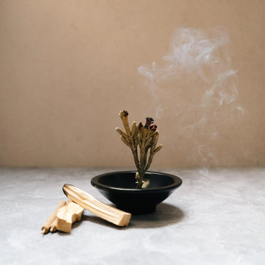 Luna Sundara Palo Santo & Palma Dulce Ritual Bundle