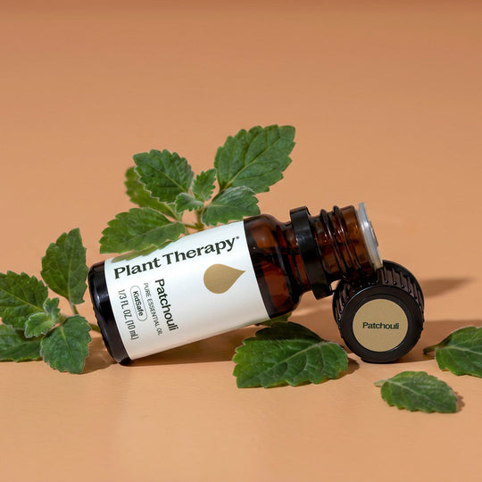 Patchouli Essential Oil