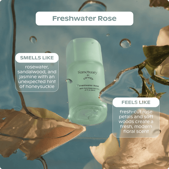 Sanctuary Aroma Kit