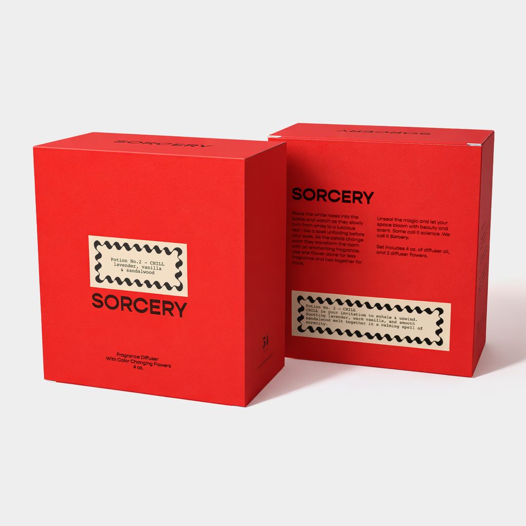 Sorcery Chill Potion #2 Reed Diffuser